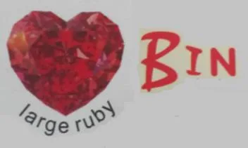 large ruby Bin