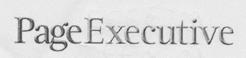 PAGE EXECUTIVE