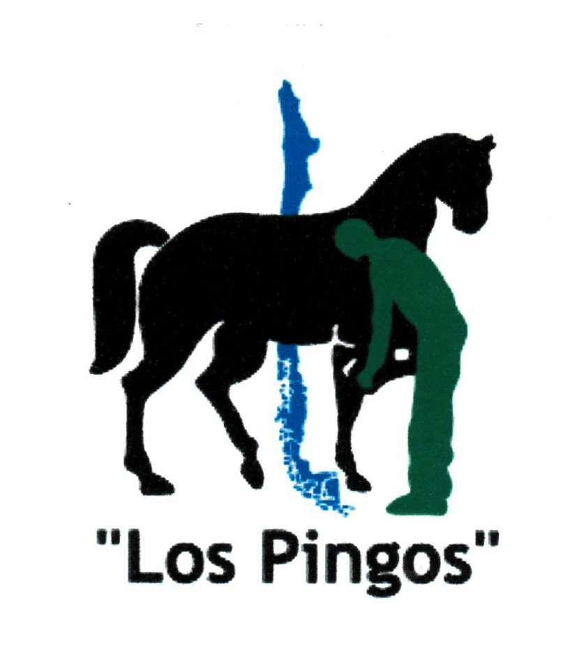 LOS PINGOS