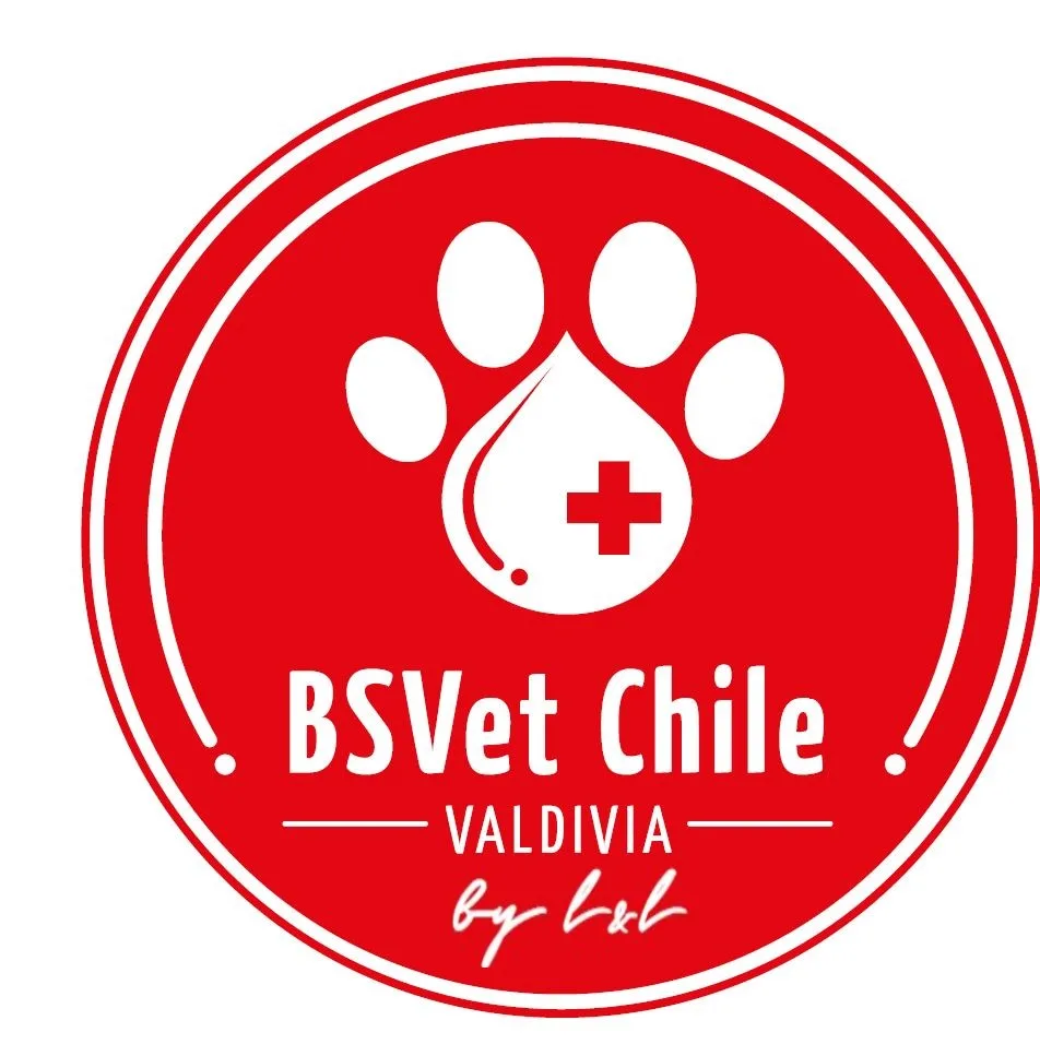 BSVET CHILE BY L&L