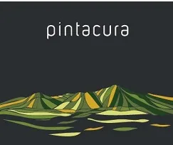 PINTACURA