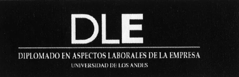 DLE DIPLOMADO EN ASPECTOS LABORALES DE LA EMPRESA UNIVERSIDAD DE LOS ANDES