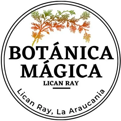 Botánica mágica Lican ray