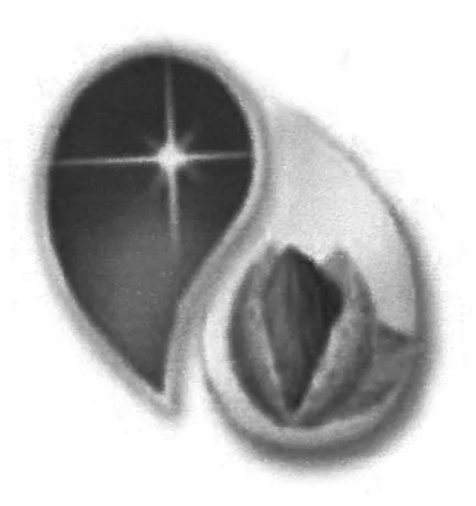 Acta 1140782