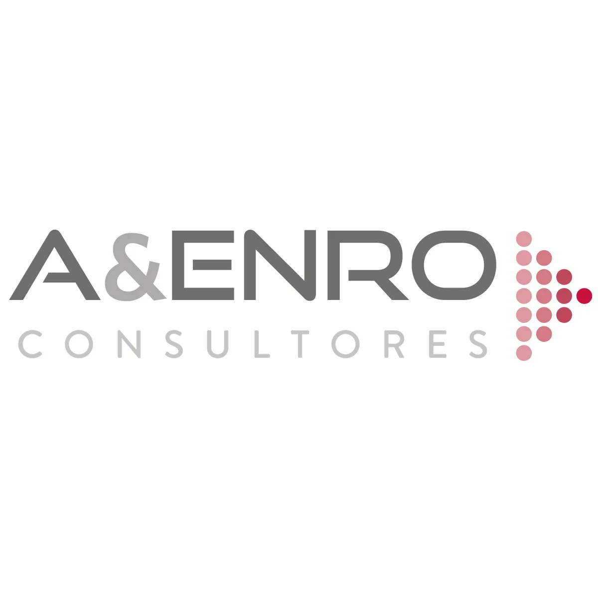 A&ENRO CONSULTORES