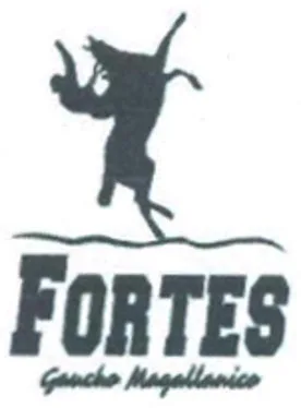 FORTES GAUCHO MAGALLANICO