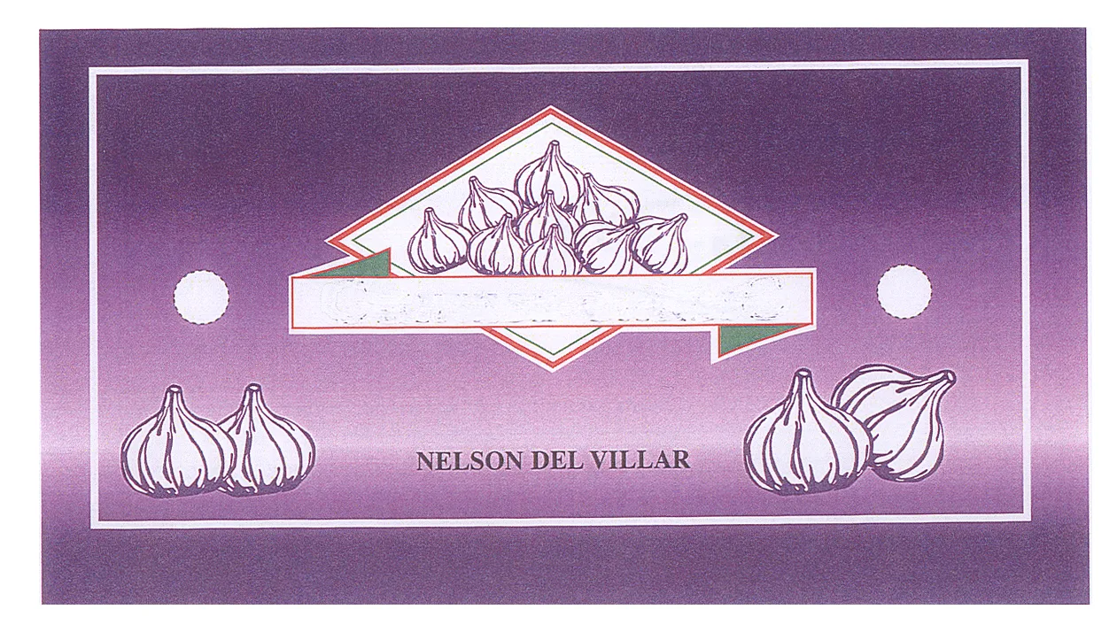 NELSON DEL VILLAR