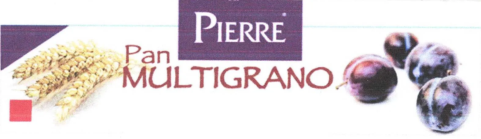 PAN PIERRE MULTIGRANO