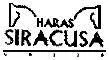 HARAS SIRACUSA