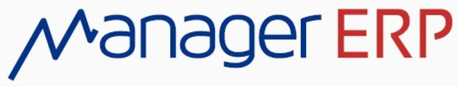 MANAGER ERP