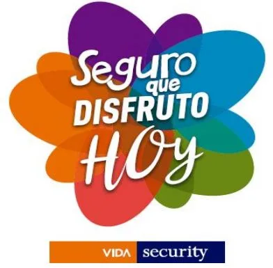 SEGURO QUE DISFRUTO HOY VIDA SECURITY