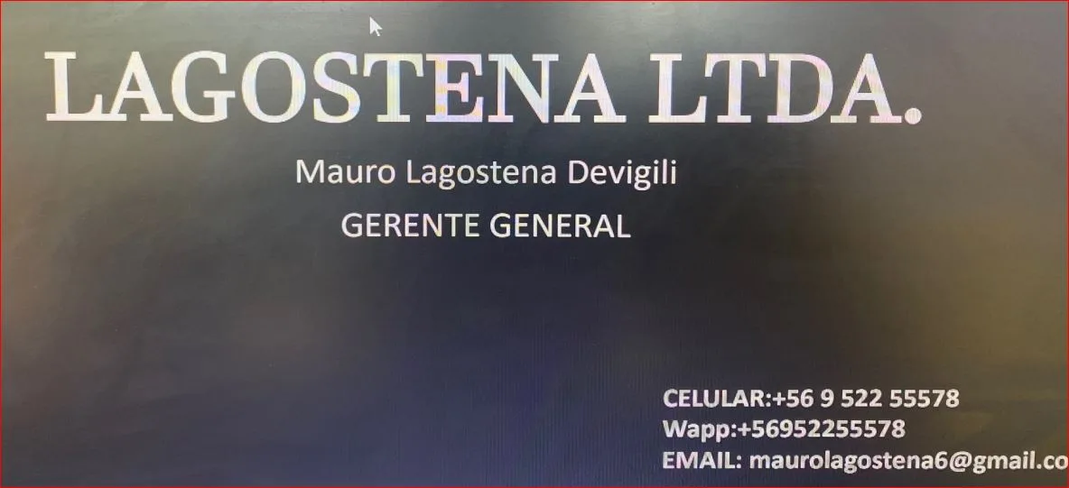 Lagostena Ltda. Mauro Lagostena Devigil