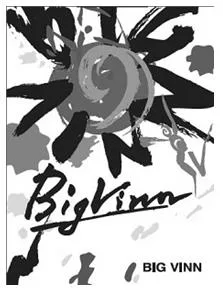 BigVinn BIG VINN