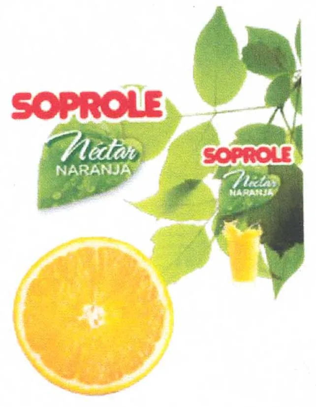 SOPROLE NECTAR NARANJA SOPROLE NECTAR NARANJA