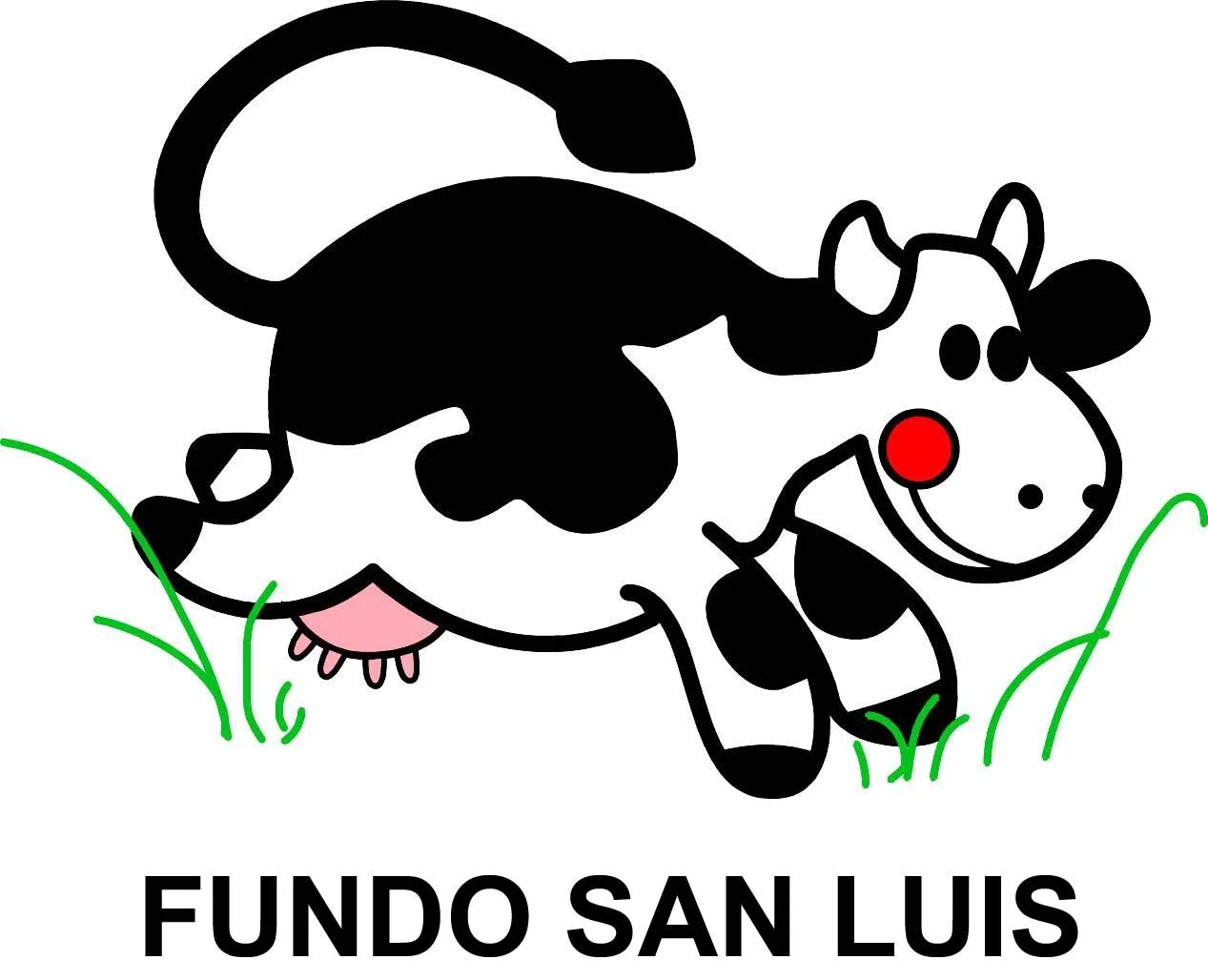 FUNDO SAN LUIS