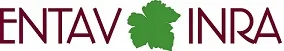 ENTAV INRA