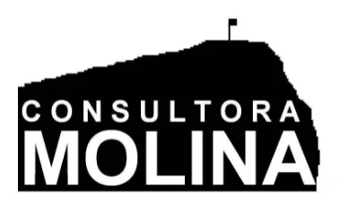 CONSULTORA MOLINA