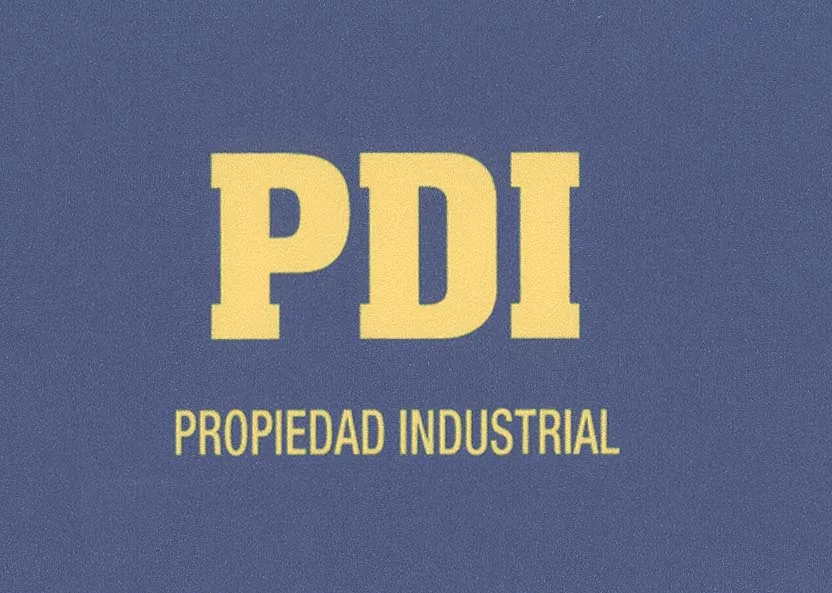 PDI PROPIEDAD INDUSTRIAL