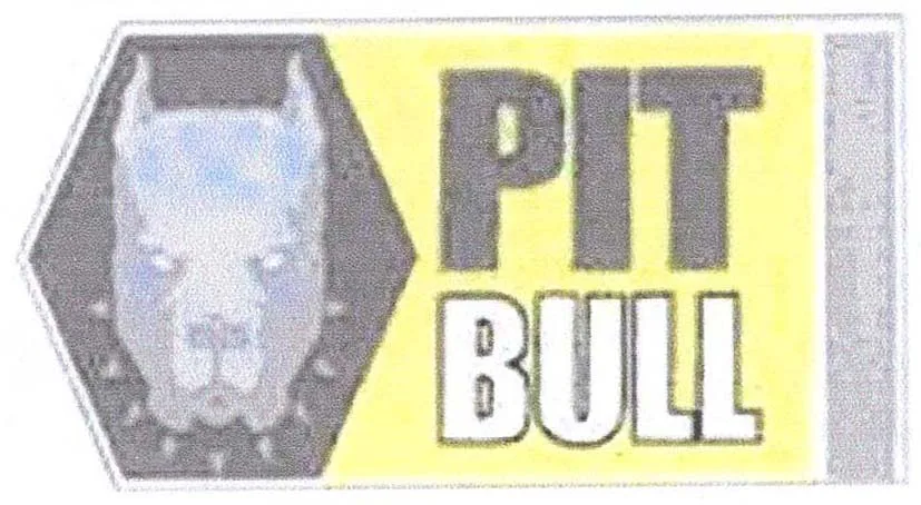 PIT BULL