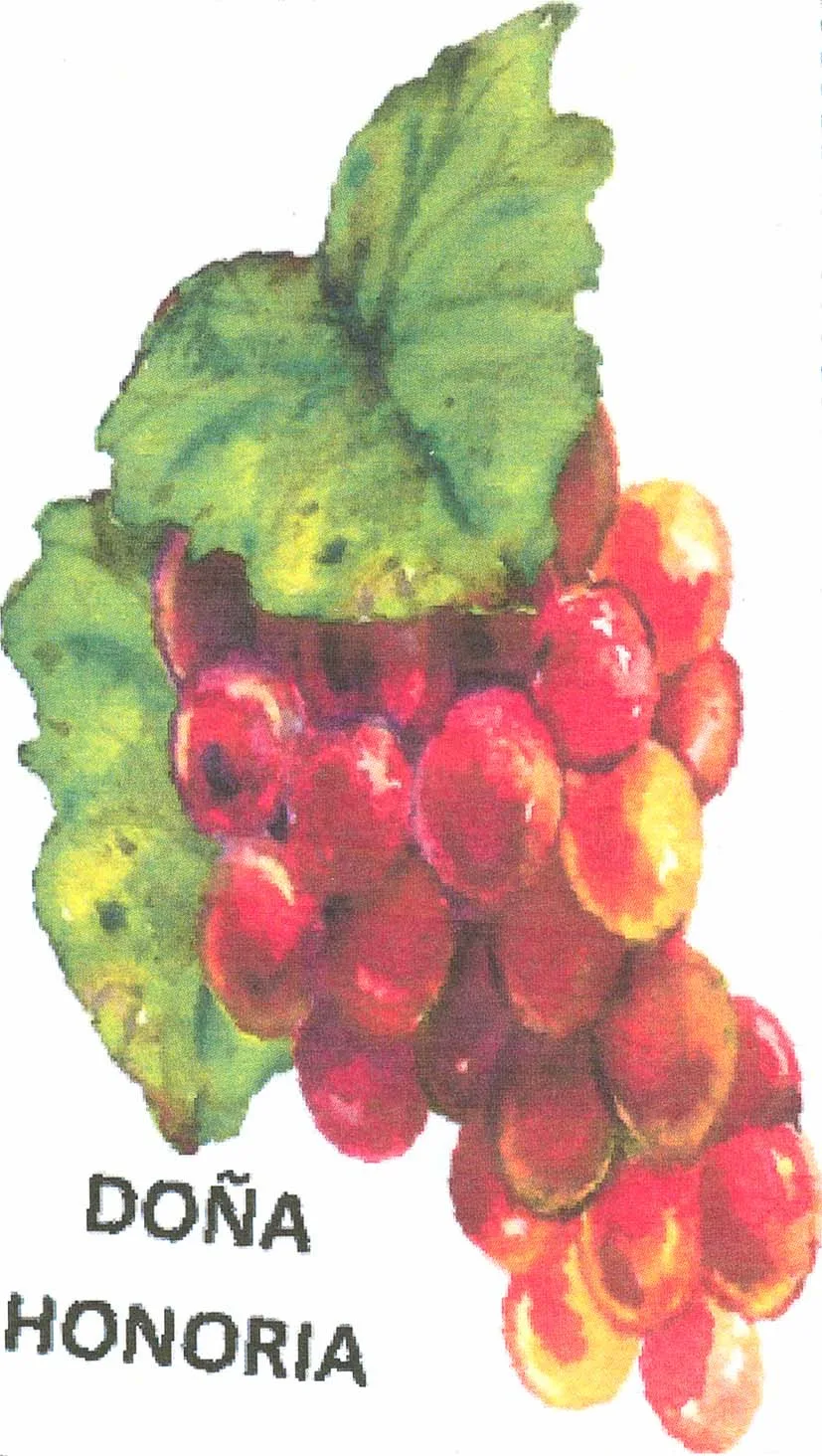 DOÑA HONORIA
