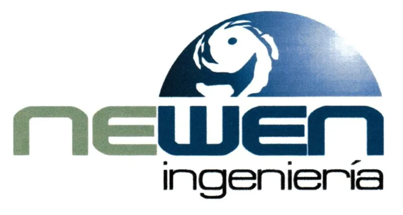 NEWEN INGENIERIA