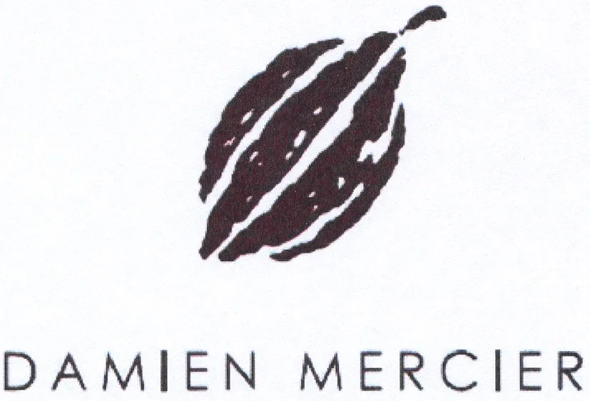 DAMIEN MERCIER