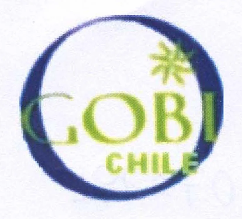 GOBI CHILE
