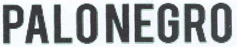 PALONEGRO