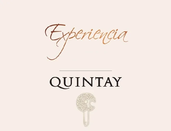 EXPERIENCIA QUINTAY