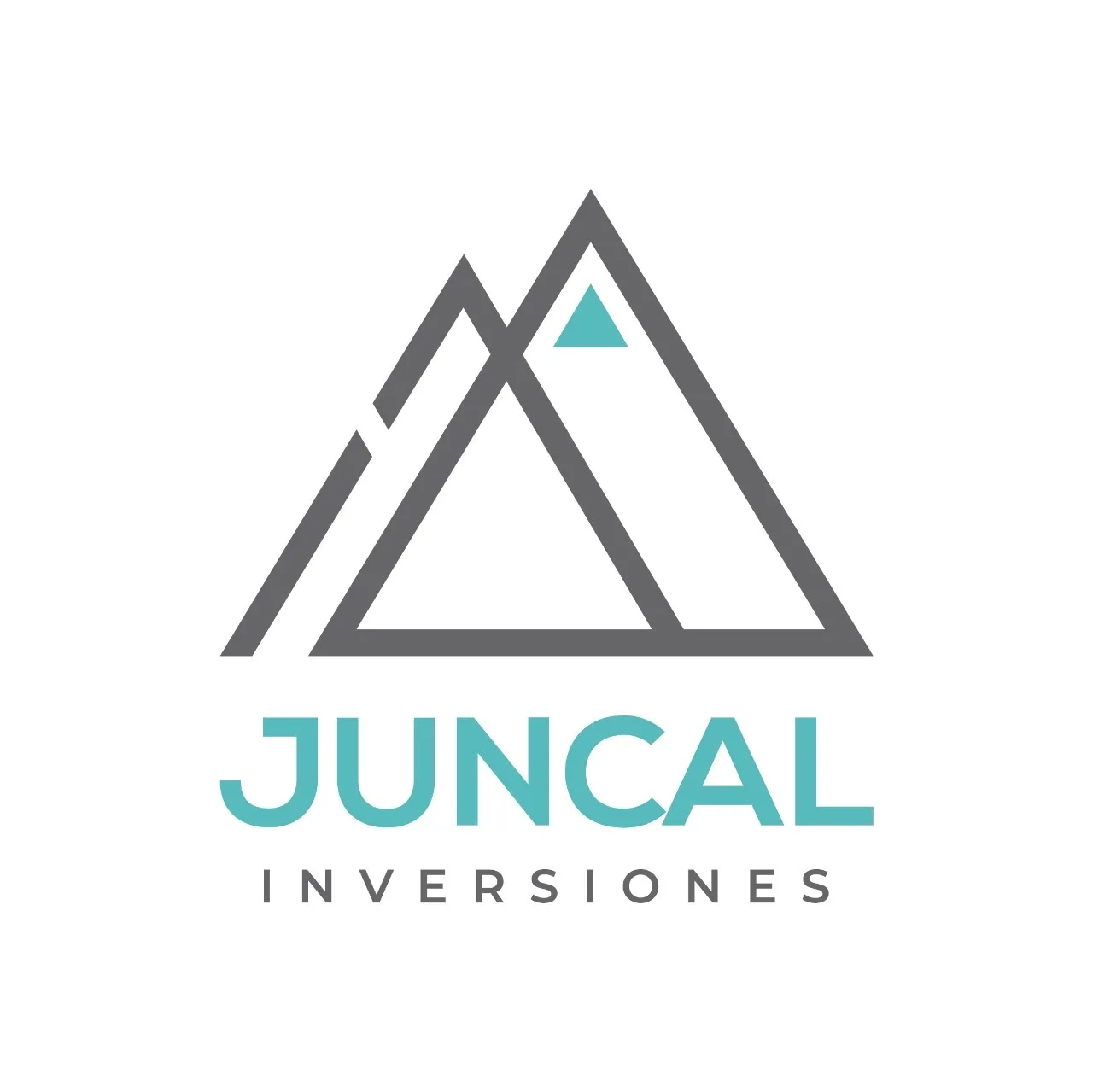 JUNCAL INVERSIONES