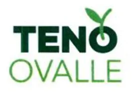 TENO OVALLE