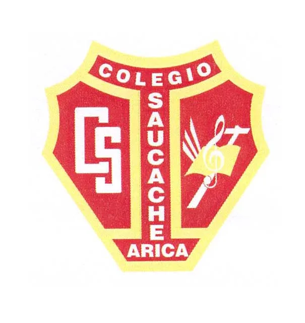 CS COLEGIO SAUCACHE ARICA