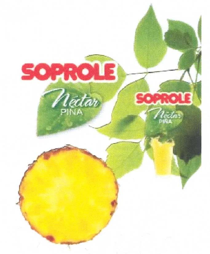 SOPROLE NECTAR PIÑA SOPROLE NECTAR PIÑA