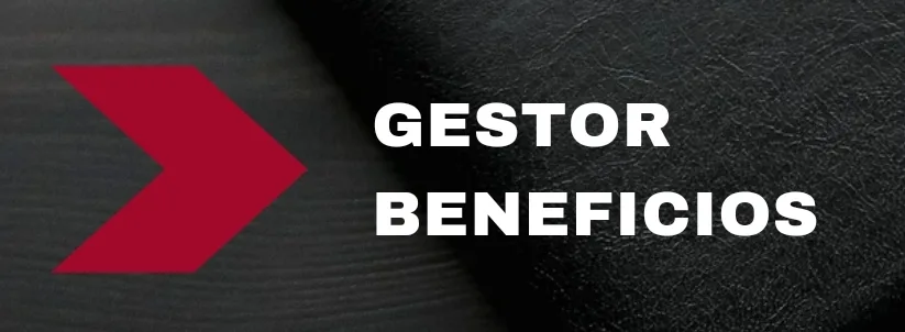 Gestor Beneficios