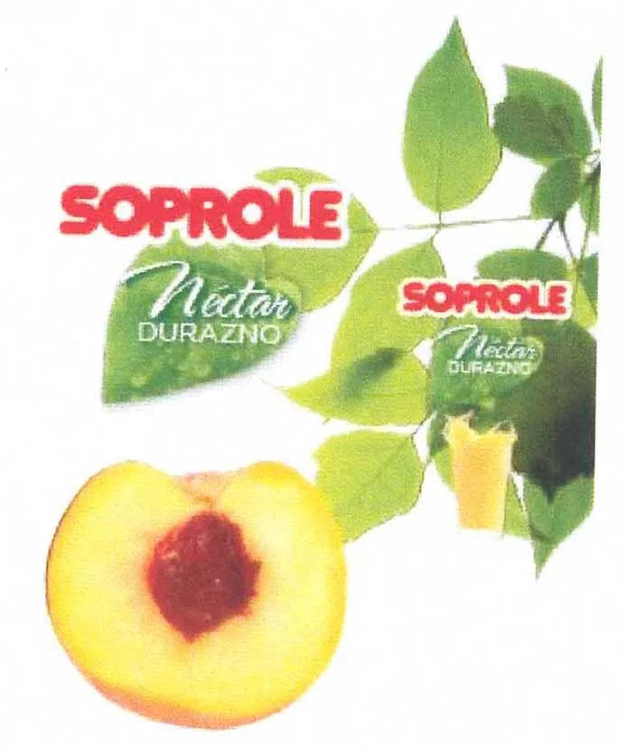 SOPROLE NECTAR DURAZNO SOPROLE NECTAR DURAZNO