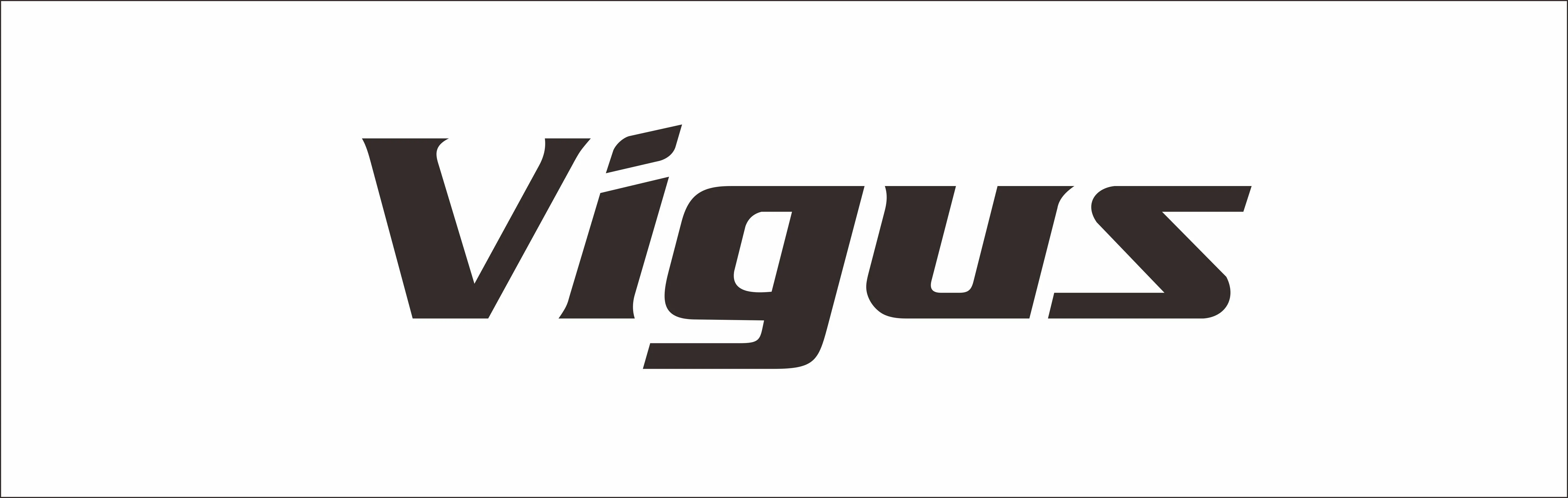 VIGUS