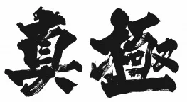 Acta 1538800