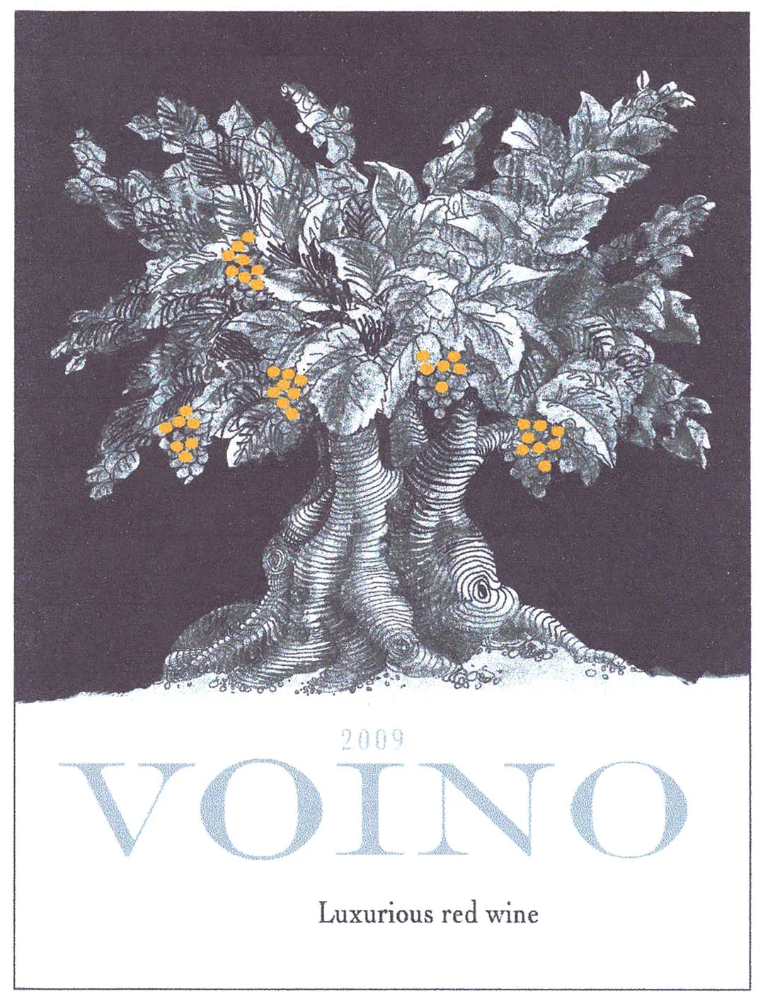 VOINO
