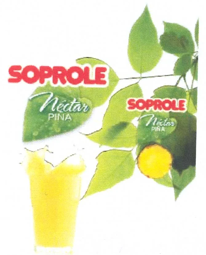 SOPROLE NECTAR PIÑA  SOPROLE NECTAR PIÑA