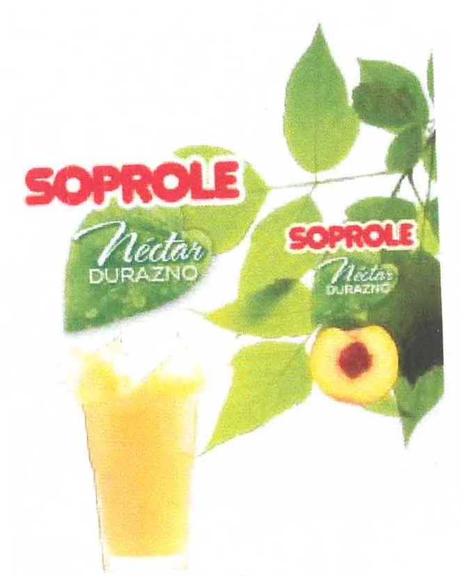 SOPROLE NECTAR DURAZNO  SOPROLE NECTAR DURAZNO