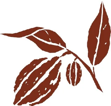 Acta 1068802