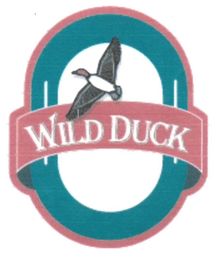 WILD DUCK