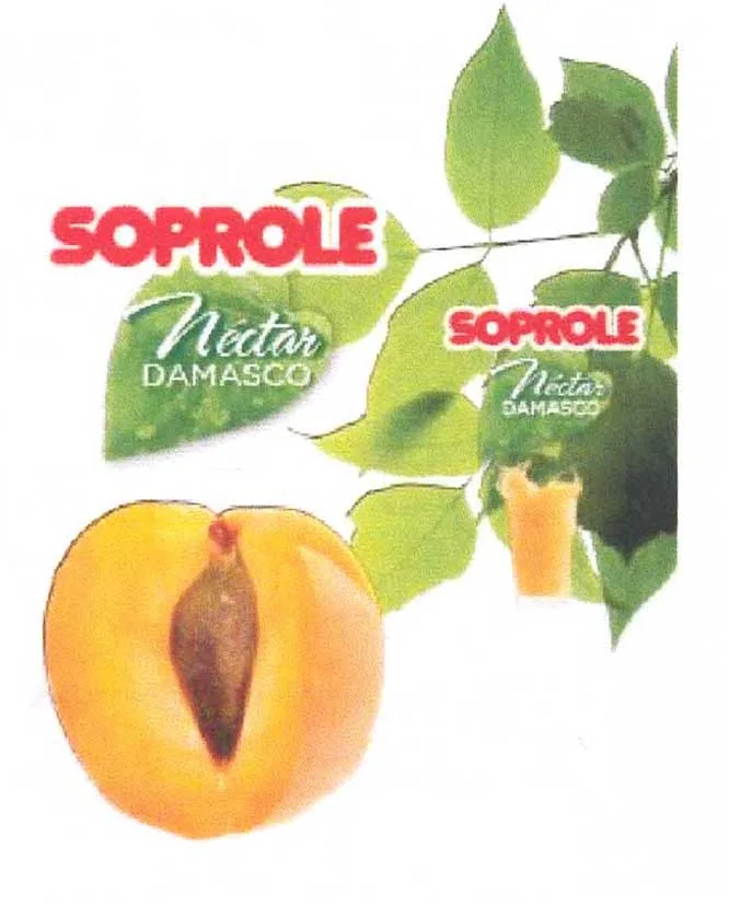 SOPROLE NECTAR DAMASCO  SOPROLE NECTAR DAMASCO