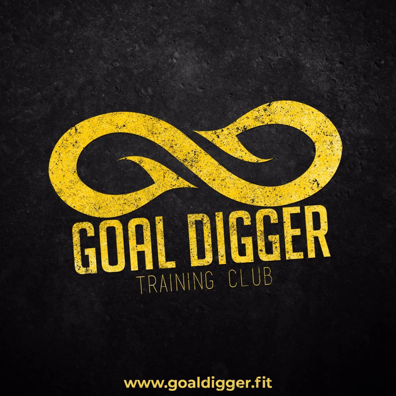 GOAL DIGGER
