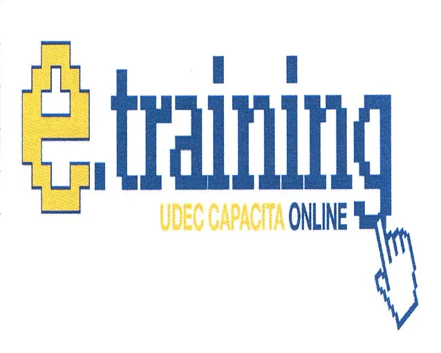 E TRAINING UDEC CAPACITA ON LINE