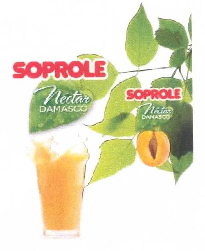 SOPROLE NECTAR DAMASCO  SOPROLE NECTAR DAMASCO