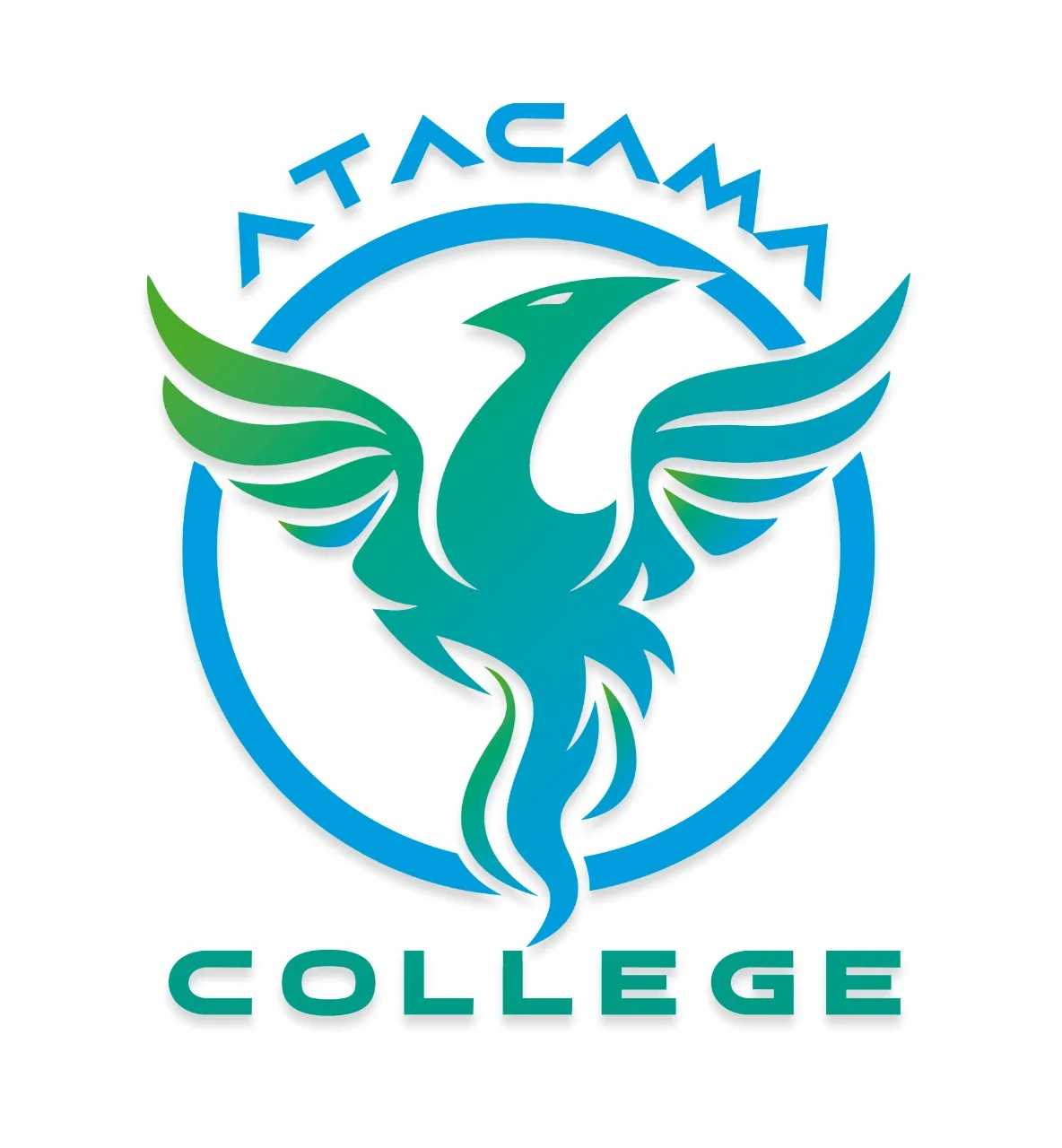ATACAMA COLLEGE