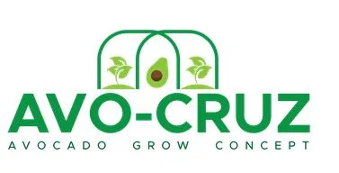 AVO-CRUZ AVOCADO GROW CONCEPT