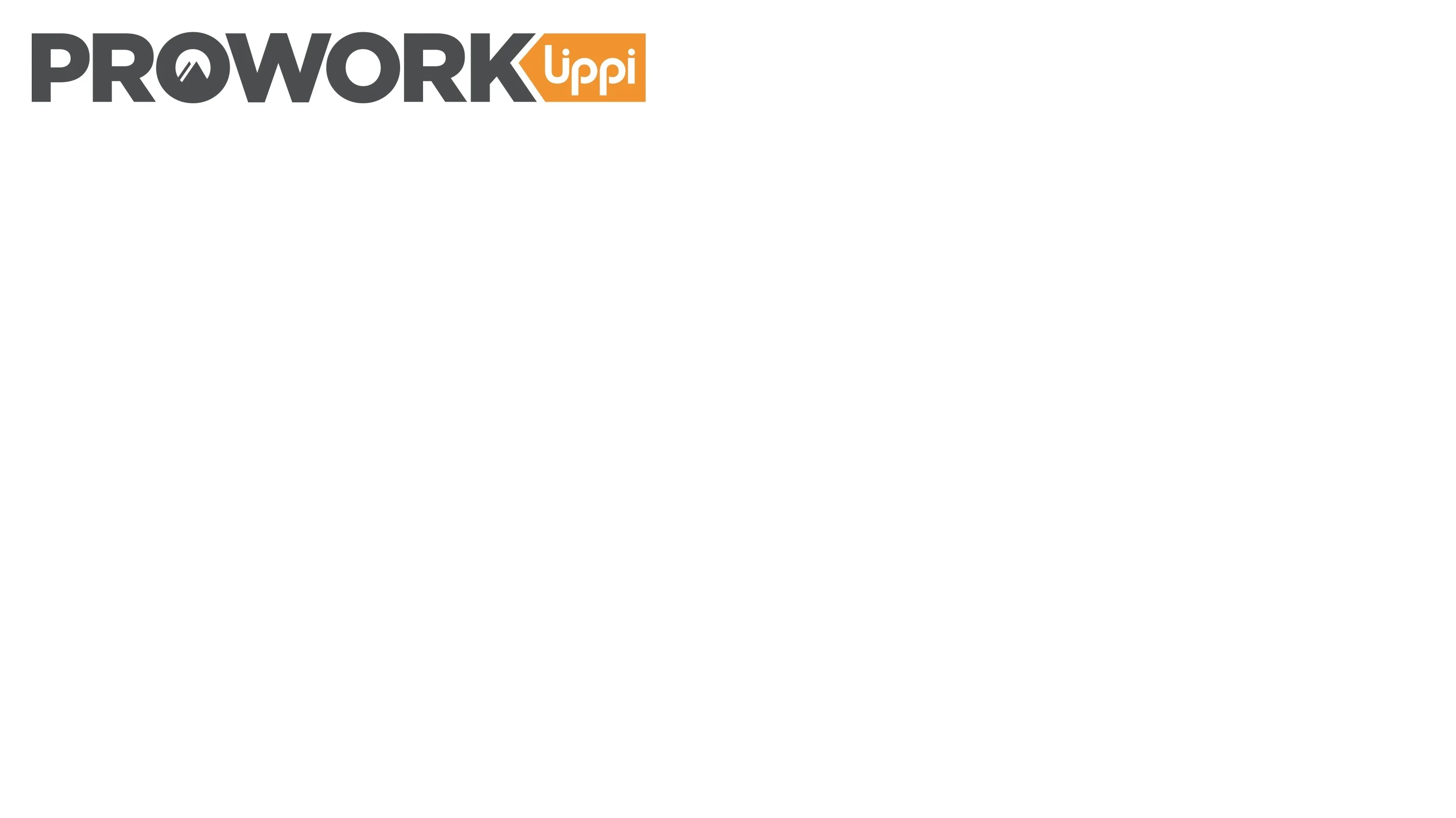 PROWORK LIPPI