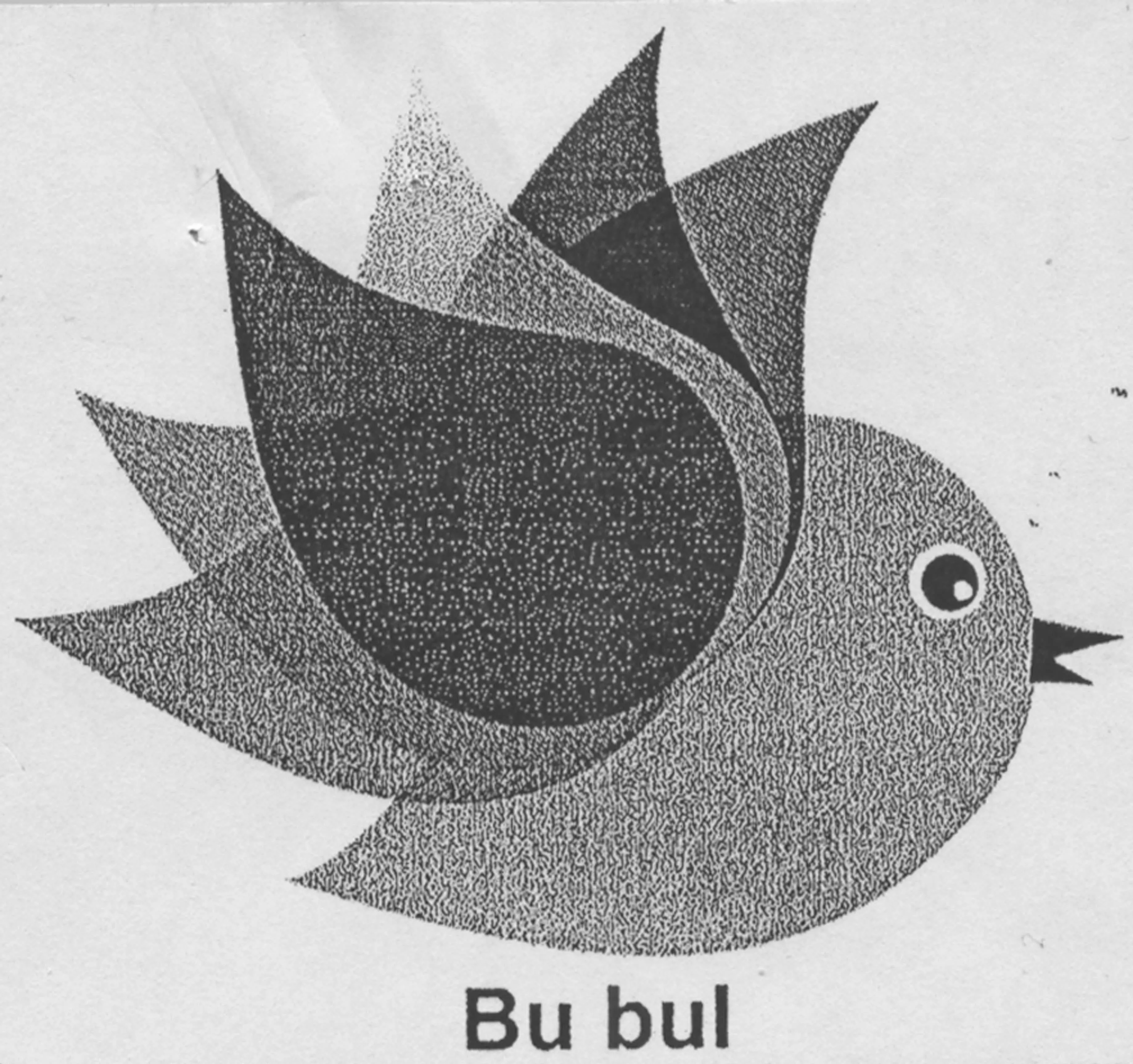 BU BUL